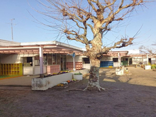 白里幼稚園園庭4