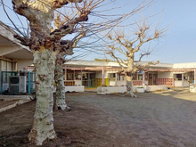 白里幼稚園園庭5