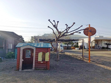 白里幼稚園園庭6