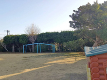 白里幼稚園園庭12