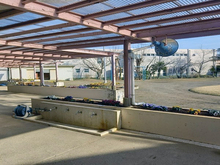 白里幼稚園園舎内17